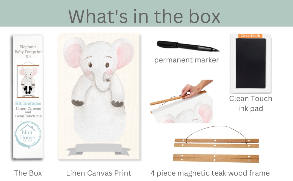 everything in the footprint kit box laid out