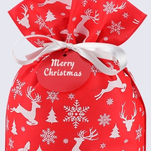 Gift bags christmas red assorted holiday