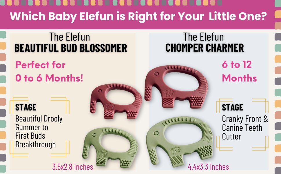 comparison of large and small teether